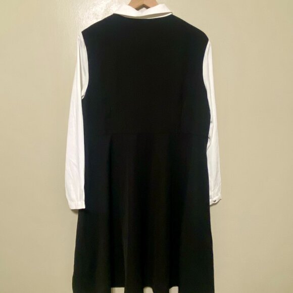 Work Button Front Dress Long Sleeve Contrast Collar Shirtdress - Picture 5 of 6